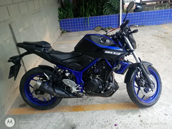 MT -03 2019