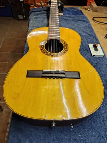 Viola Del Vecchio com Case atualizada por luthier 