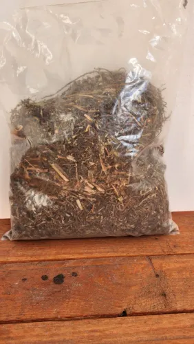 Produtos naturais- Losna