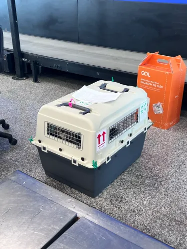Caixa de Transporte Pet DogFly Avião Padrao IATA N6