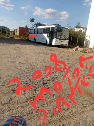 Ônibus rodoviária 48 passageiros