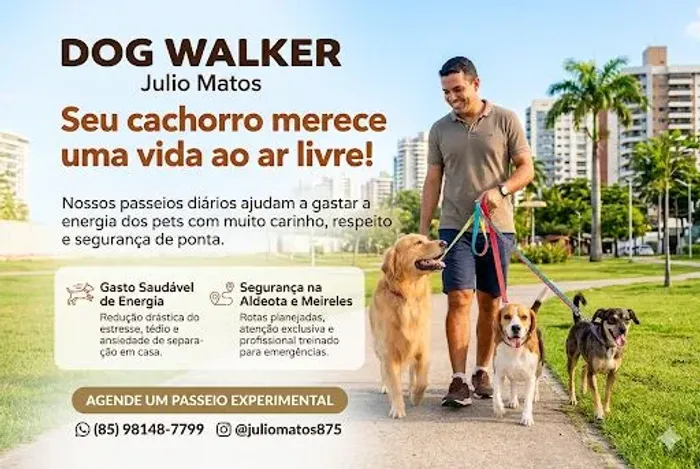 Dog Walker (Passeio com cachorro)