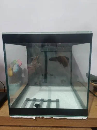 Aquário com sump traseiro