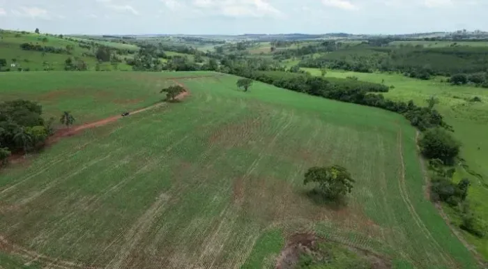 Excelente fazenda à venda em Avaré/SP, localizada próxima ao Rio e à Represa de Jurumirim.