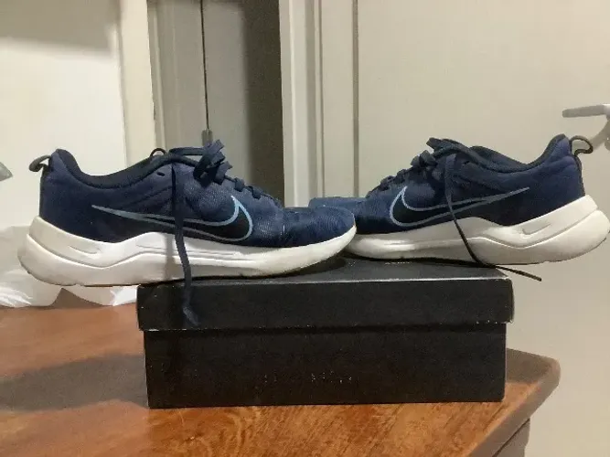 Tênis Nike downshifter 12