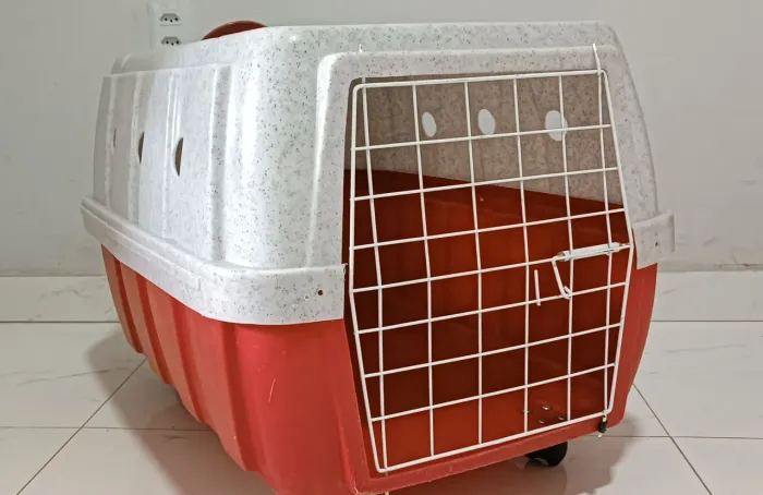 Caixa Transporte tradicional N° 2 clicknew