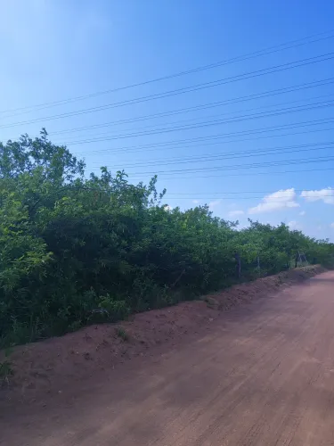fazenda com 1.196 hectares em Parazinho com grande potencial para agricultura