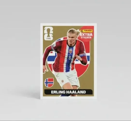 Vendo Erling Harlannd dourado R$ 180