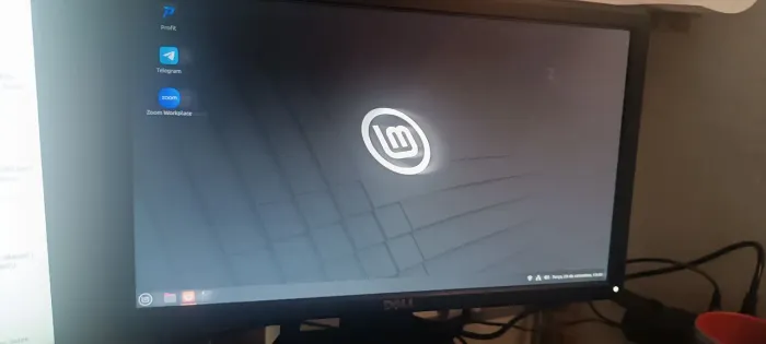 Monitor Dell