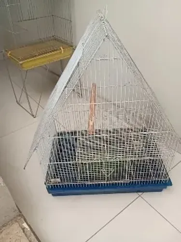 VIVEIROS E GAIOLAS