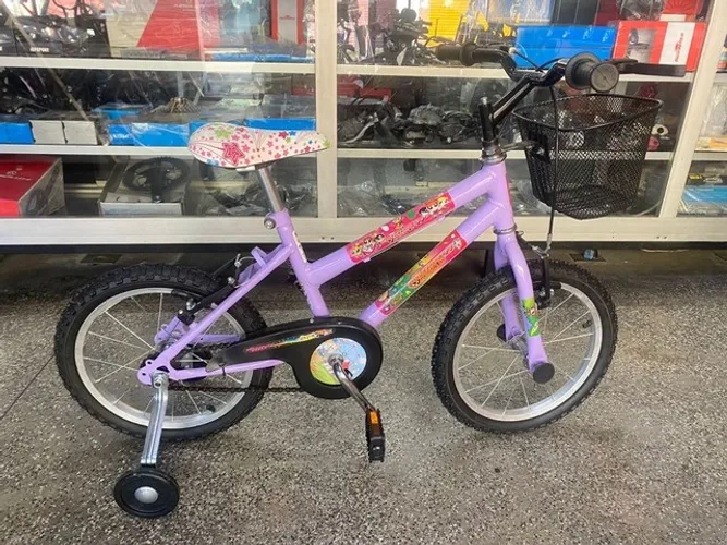 Bicicleta Samy Aro 16 Feminina Especial.