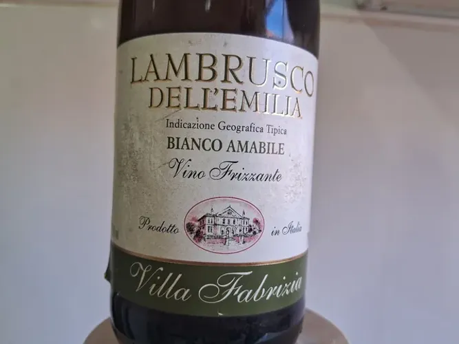 Fino Frizzante Lambrusco