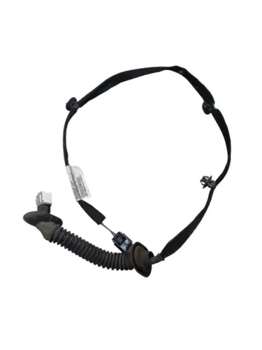 Chicote Porta Traseira Esquerda Renault Kwid 241272870r