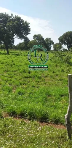 Fazenda 35 Alqueires Dupla Aptidão