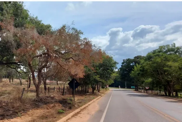 Terreno no trevo em frente ao GAV