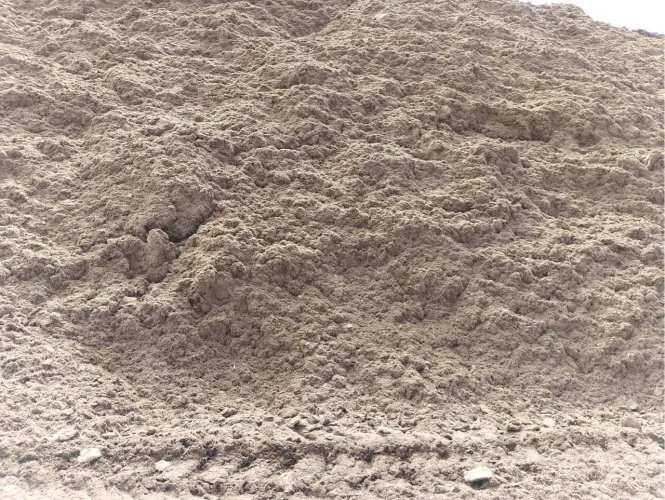 Bagaço de Cana Para Gado 