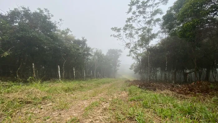 LOTES 10 x 40m - Serra de Aratuba