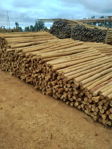 Eucalipto tratado roliço 10 a 12 com 2,20mts
