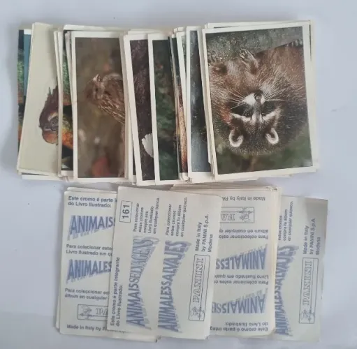Lote - 57 Figurinhas - Animais Selvagens - 1996 - Panini - Nunca Colada