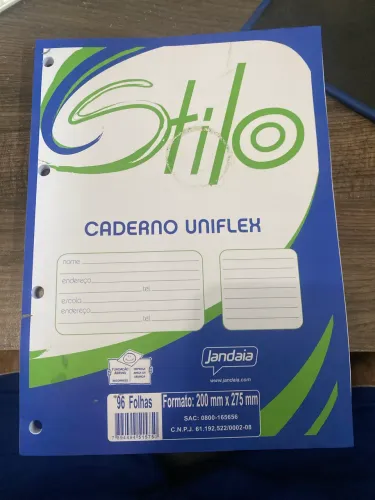 Refil Folha Fichário 96 folhas