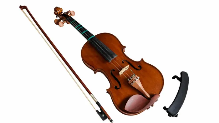 Violino Eagle 4/4 com estojo - modelo Ve441