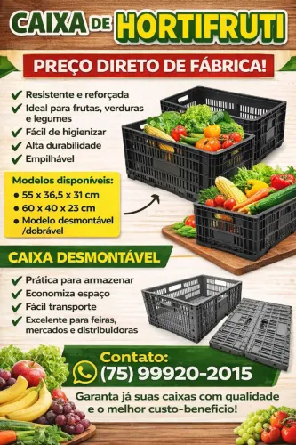 Caixa Hortifruti (Contetores)
