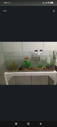 aquário 120 litros