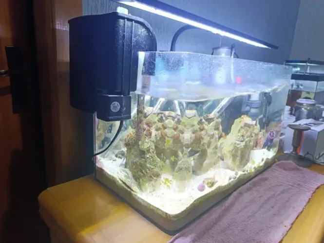 Aquário Marinho 50 litros 