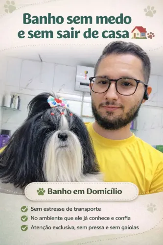 Banho pet em domicílio 