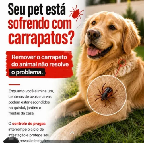 Dedetização