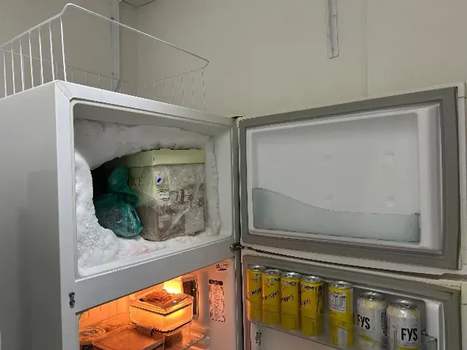 Geladeira Consul