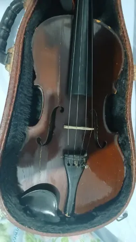 Violino