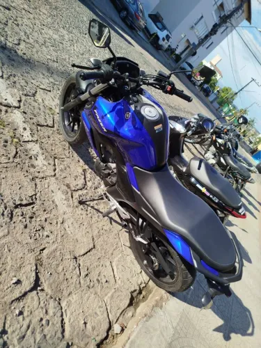 Fazer15 2024