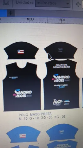 Kit político