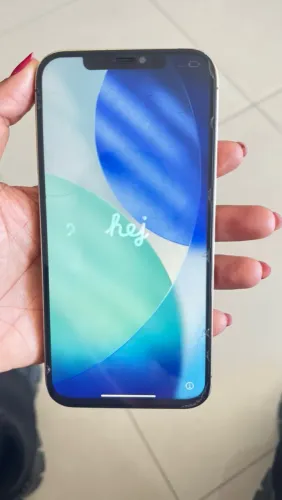 IPHONE 12 PRO MAX