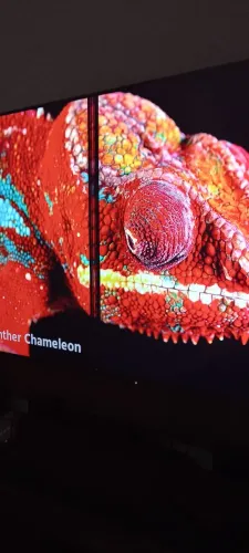 TCL C6K 65 QD mini-led