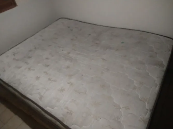 Cama
