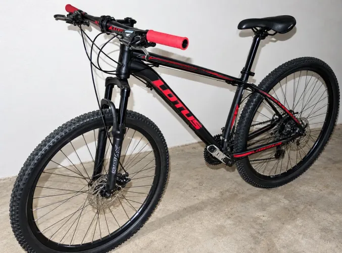 Bicicleta lótus