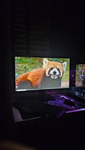 Monitor 165hz 1ms Asus VG248QG