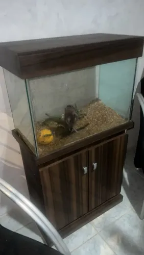 Aquário com moldura!