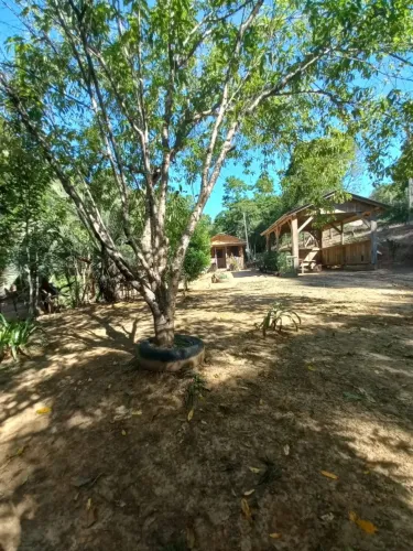 Seu refúgio na natureza em DOBRO! 2 Chácaras em SC por apenas R$189 mil!