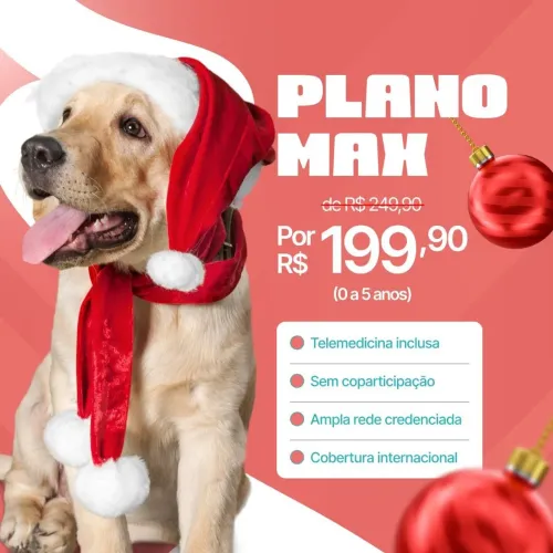 Planos pra pet 