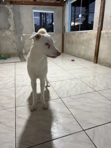 Doação 