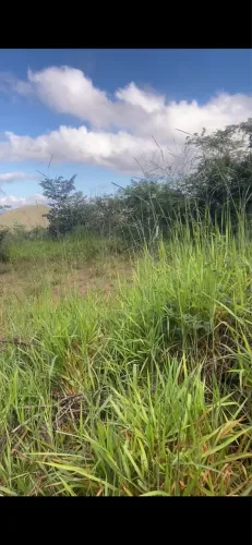 LOTE À VENDA EM CAMPO DOS COELHOS - TAQUARAÇU DE MINAS - ACEITO NEGOCIAÇÃO 