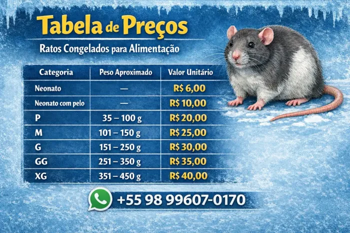 Ratos congelados