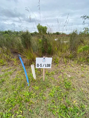 VENDO - Lote em Jaguaripe c/ Pier Náutico e Clube Completo | Condomínio de Alto Padrão | R