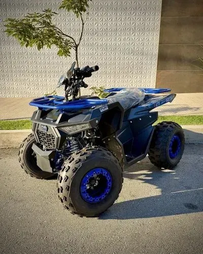 Shark 125 cc à combustão