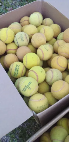 Bolas de tênis 
