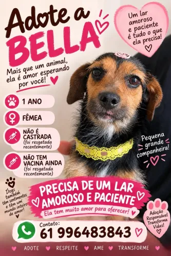 Doar cachorro ferma 