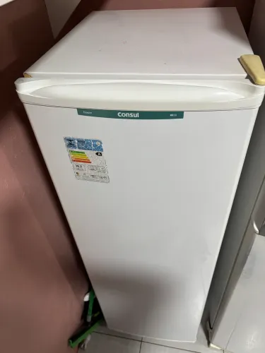 Freezer vertical